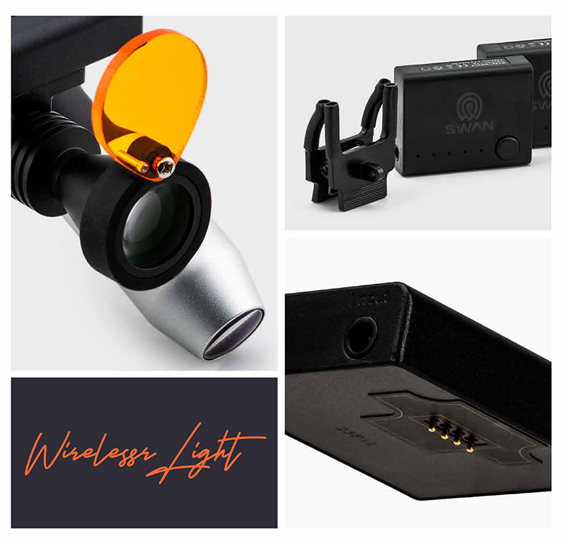 SWAN 24.jpg SWAN 24.jpg