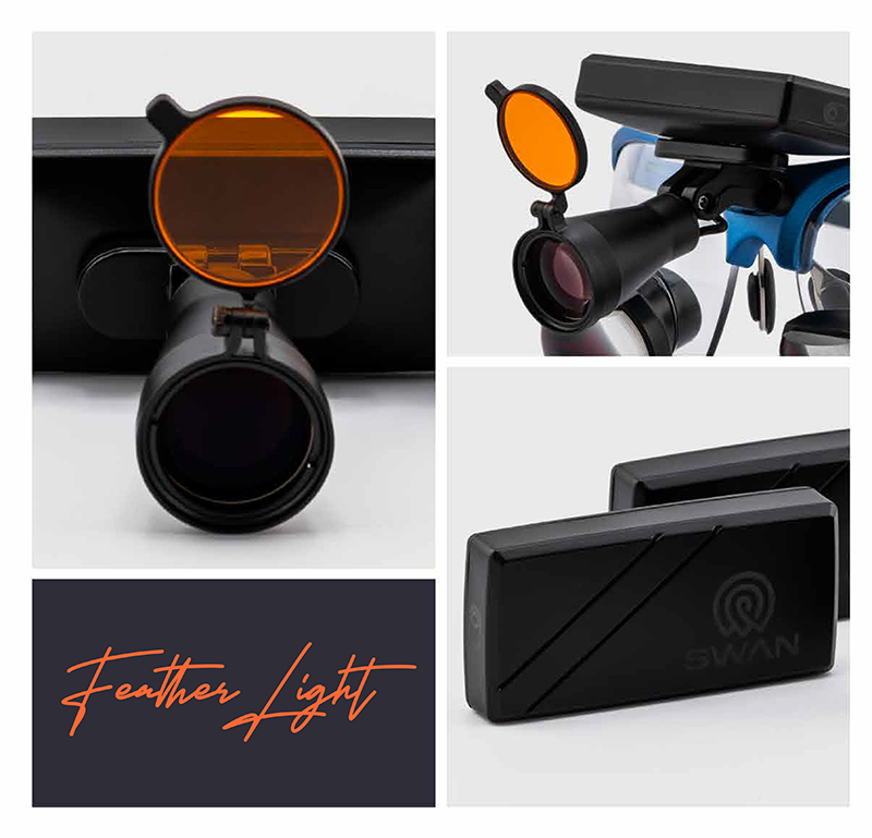 SWAN 22-1.jpg SWAN 22-1.jpg