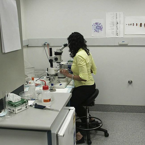 Bambach Classic - эрготерапевтический стул-седло врача-стоматолога