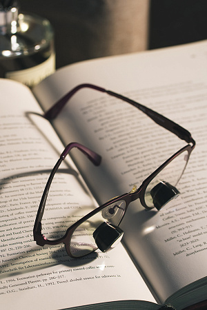 NK Vision TTL x2.5 – Бинокуляры